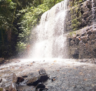 Parque Nacional Yacambú